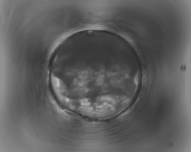 X0000112511414200909141148