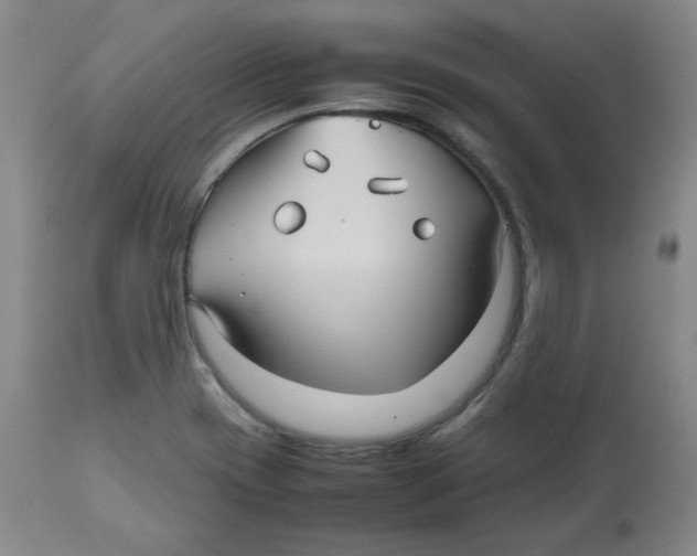 X0000112511417200909141148