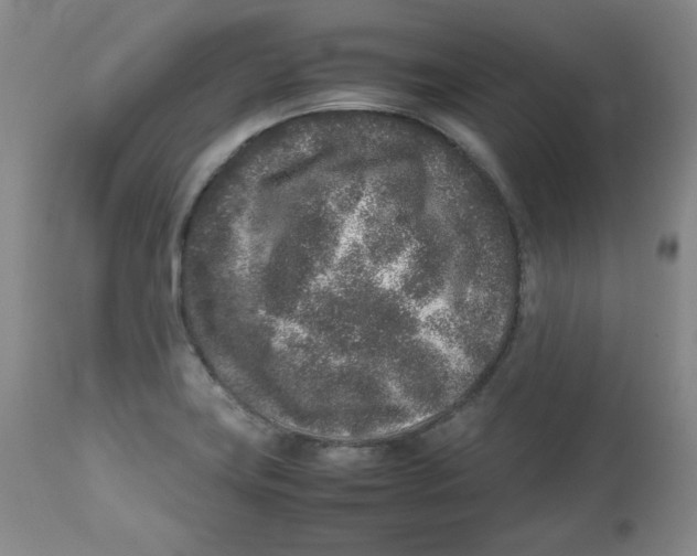 X0000112511419200909141148