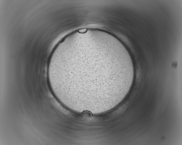 X0000112511420200909141148