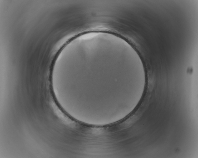 X0000112511422200909141148