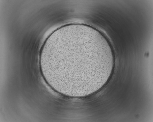 X0000112511424200909141148