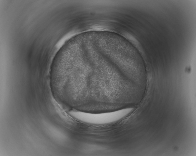 X0000112511427200909141148