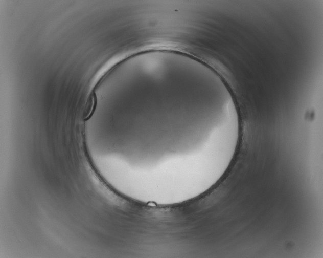 X0000112511428200909141148