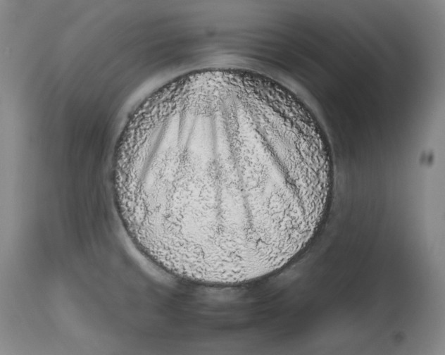 X0000112511429200909141148