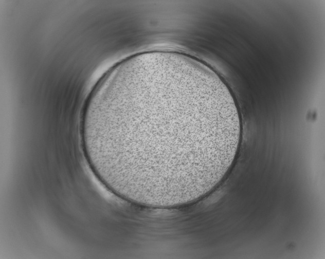 X0000112511430200909141148