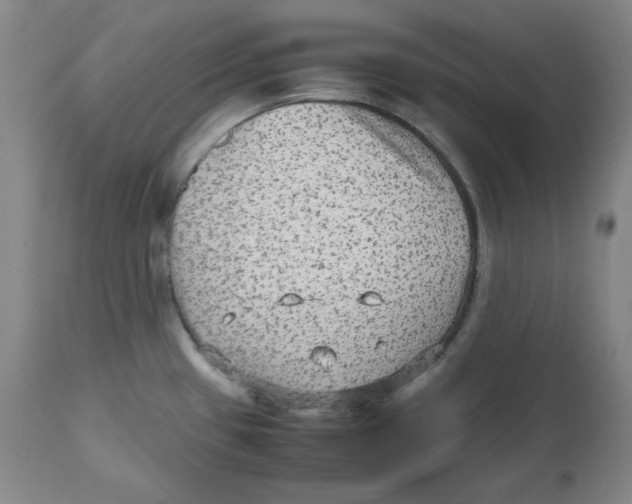 X0000112511433200909141148