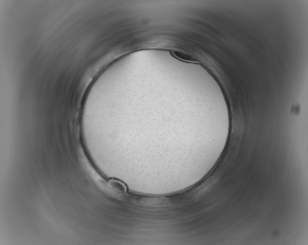 X0000112511434200909141148