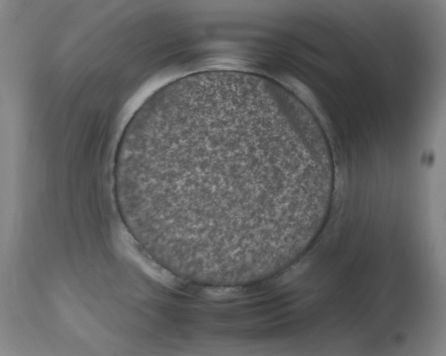 X0000112511435200909141148