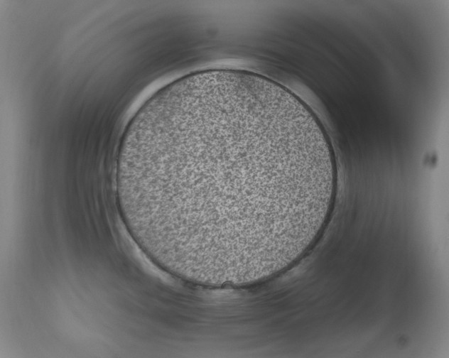 X0000112511436200909141148