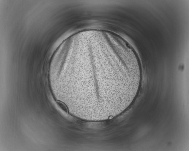 X0000112511437200909141148