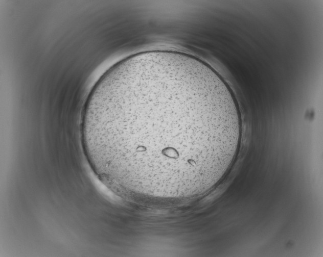 X0000112511438200909141148