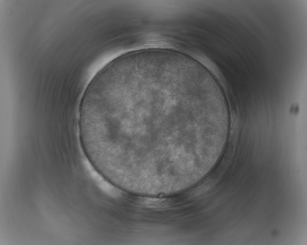 X0000112511439200909141148