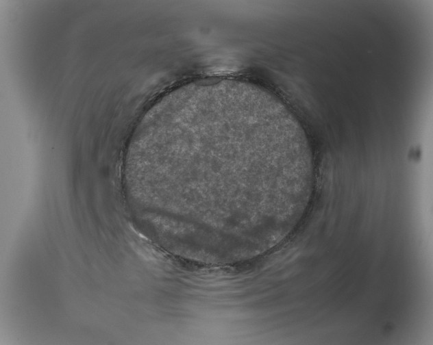 X0000112511441200909141148