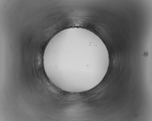 X0000112511442200909141148