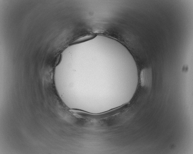 X0000112511443200909141148