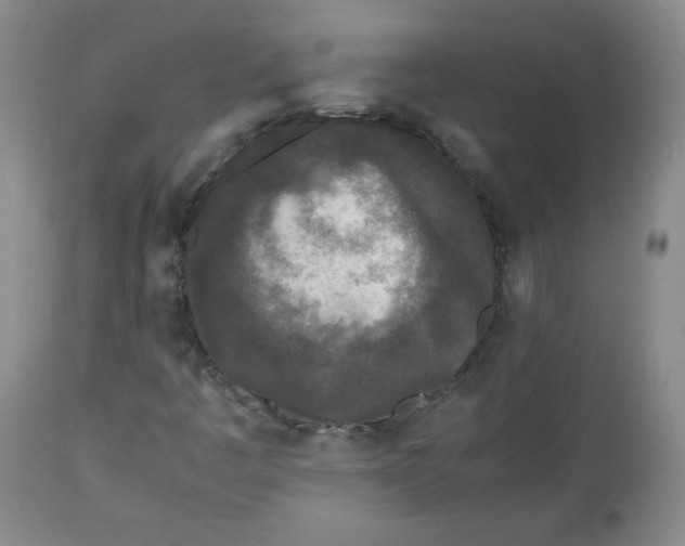 X0000112511445200909141148