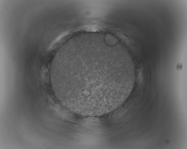 X0000112511446200909141148