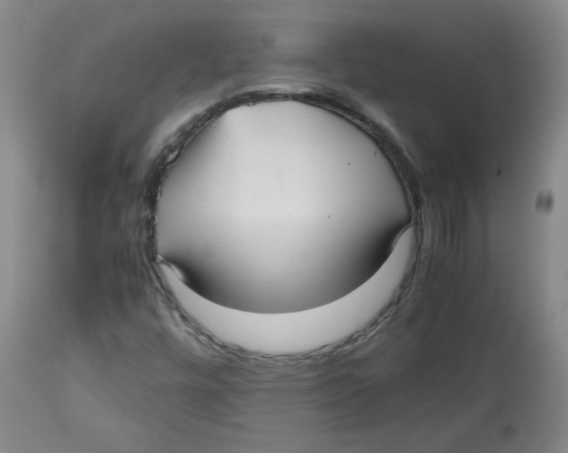 X0000112511448200909141148