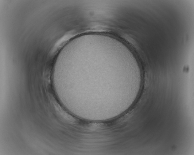 X0000112511451200909141148