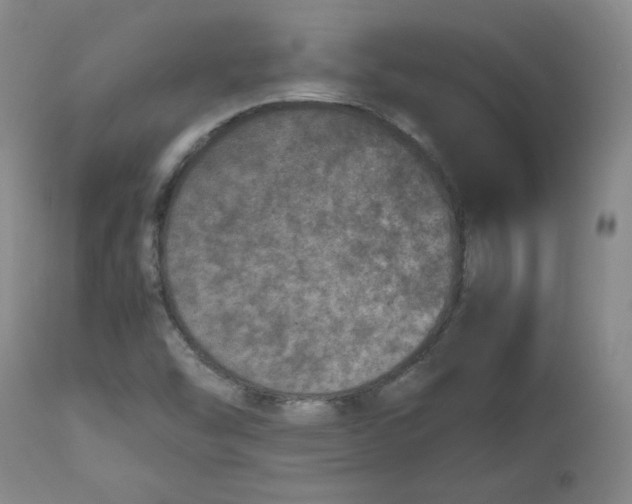 X0000112511454200909141148