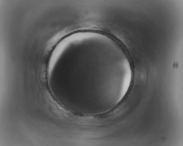 X0000112511455200909141148