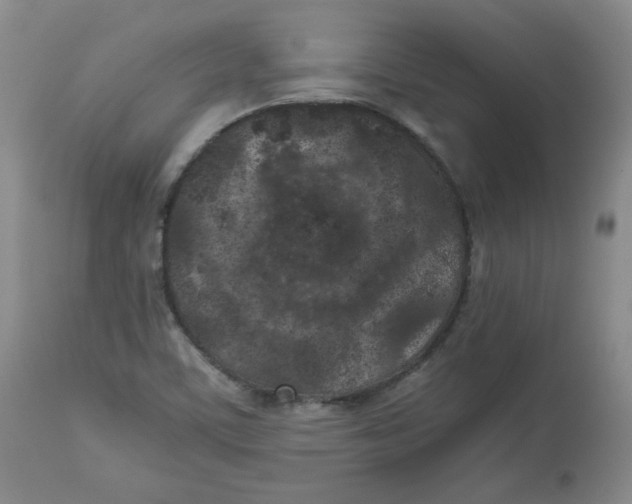 X0000112511459200909141147