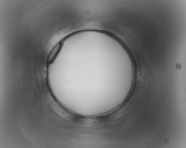 X0000112511461200909141147