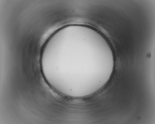 X0000112511464200909141147