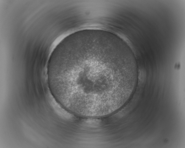 X0000112511466200909141147