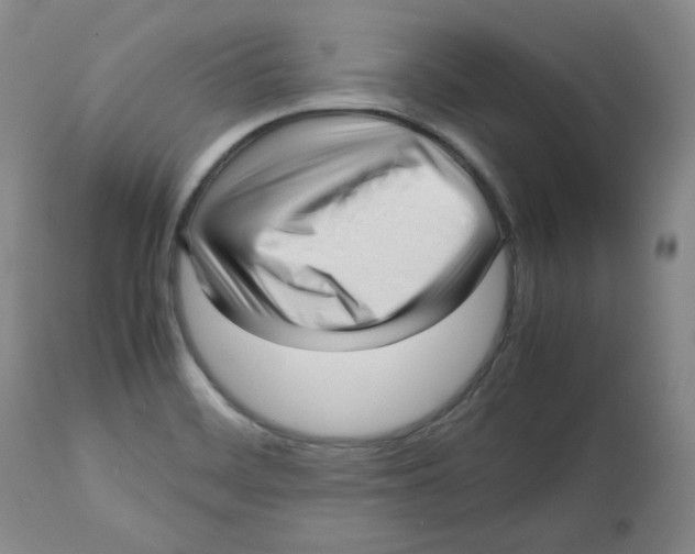 X0000112511468200909141147