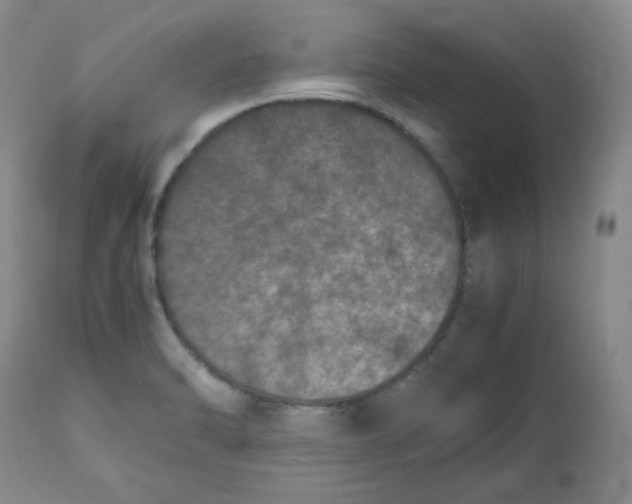 X0000112511470200909141147