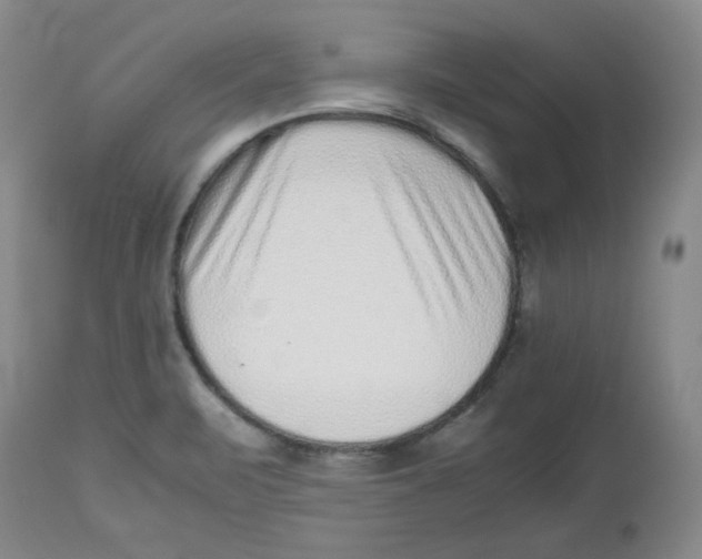 X0000112511471200909141147