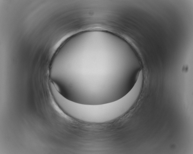 X0000112511476200909141147