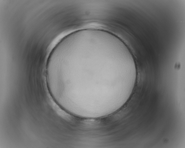 X0000112511478200909141147