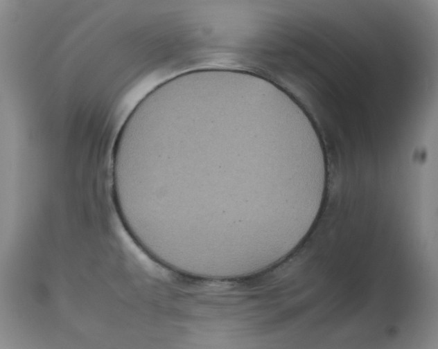 X0000112511479200909141147