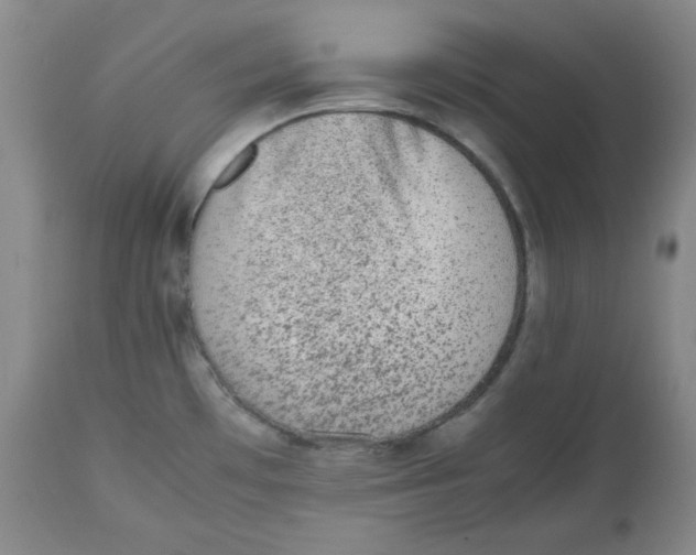 X0000112511481200909141147