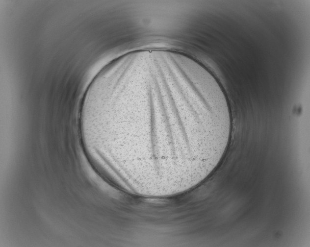 X0000112511483200909141147