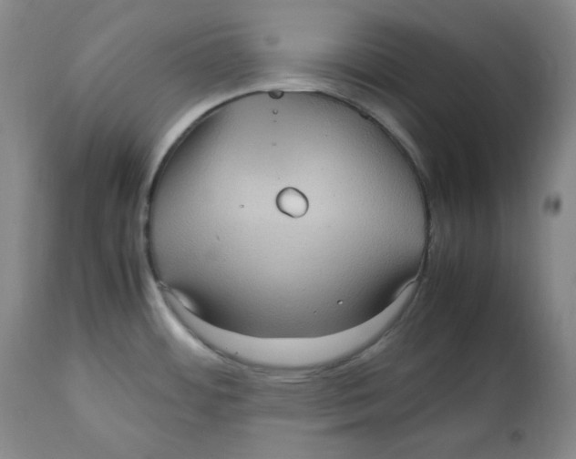 X0000112511484200909141147