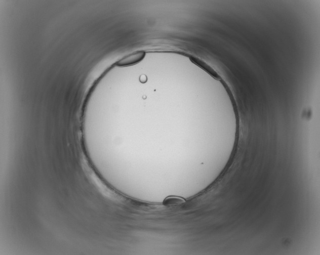 X0000112511485200909141147