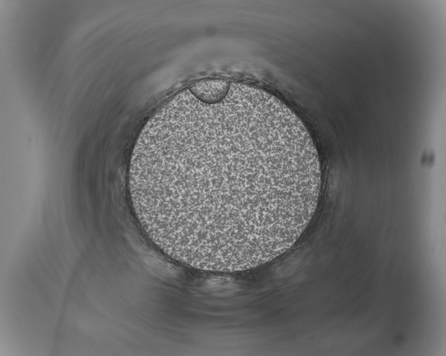 X0000112511489200909141146