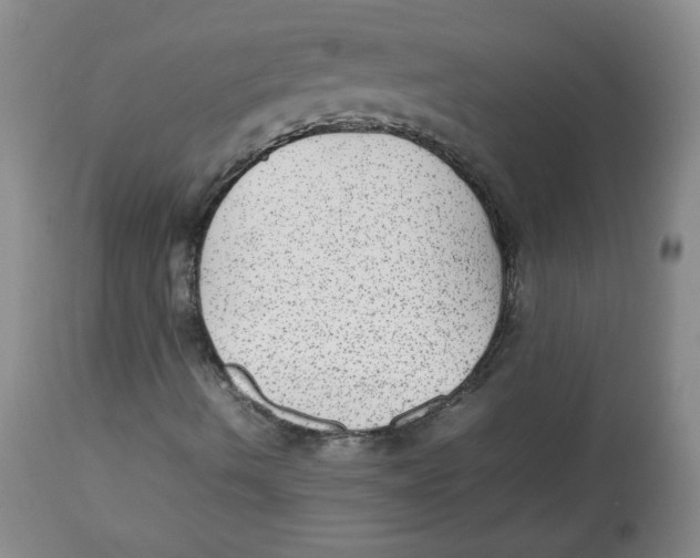 X0000112511490200909141146