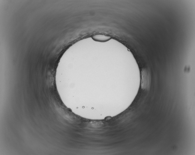 X0000112511491200909141146