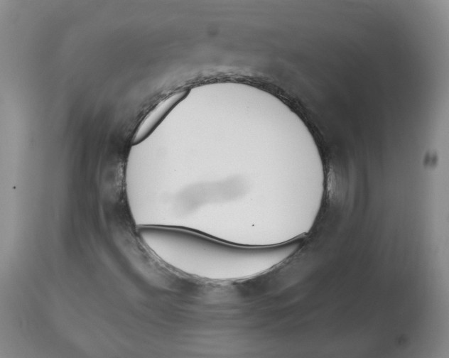 X0000112511492200909141146