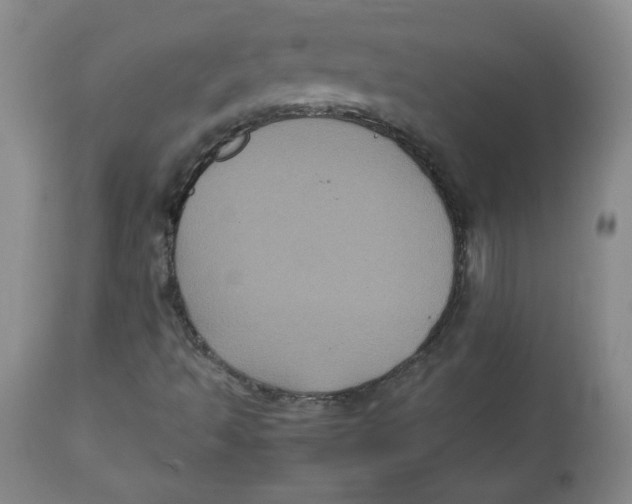 X0000112511493200909141146