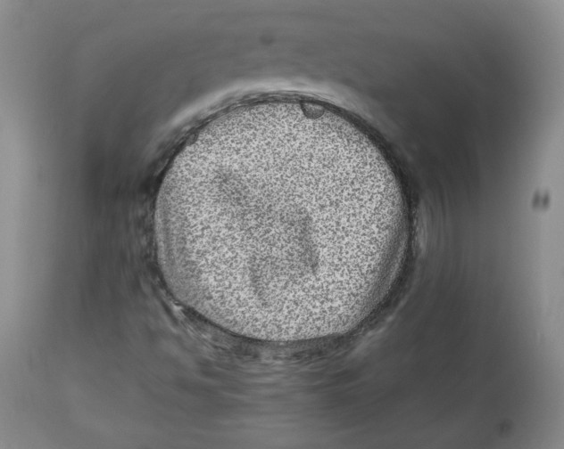 X0000112511494200909141146