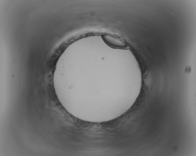 X0000112511495200909141146