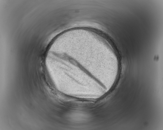 X0000112511497200909141146