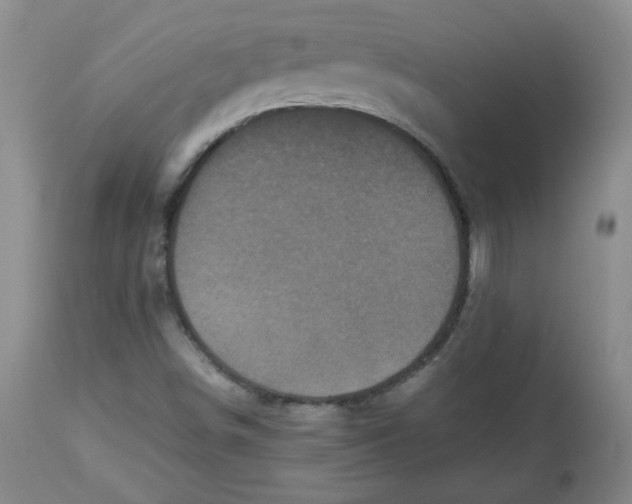 X0000112511498200909141146