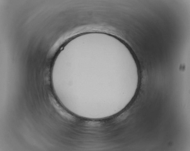 X0000112511499200909141146